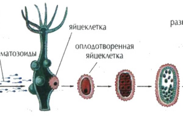 Кракен как зайти