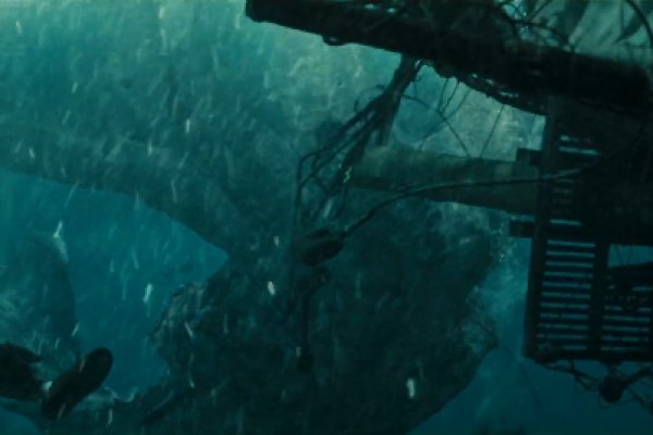 Kraken 19 at