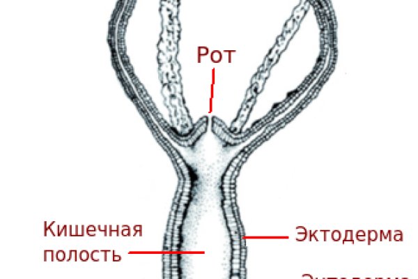 Адрес кракена