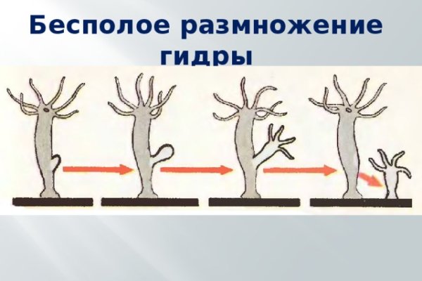 Какой нужен тор чтоб зайти в кракен