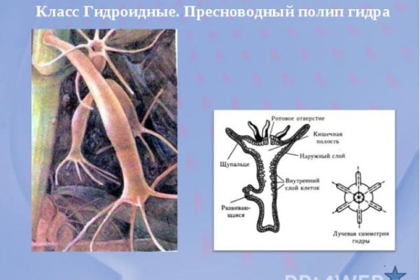 Кракен через браузер