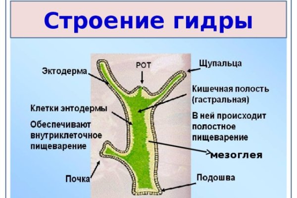Ссылка для входа на сайт kraken