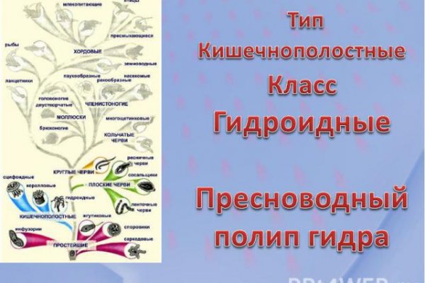 Кракен ссылка на сайт тор