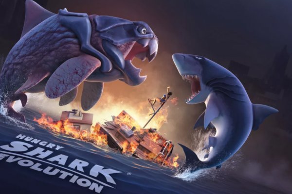 Kraken online