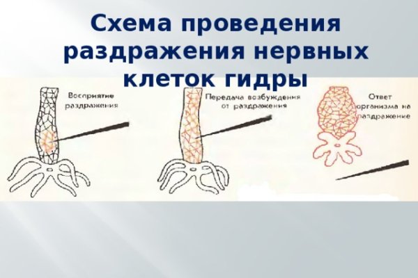 Ссылки кракен телеграф